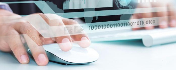 Cómo Gestionar Los Bugs O Errores Del Software